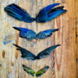 Meet your Posher, Carlotta